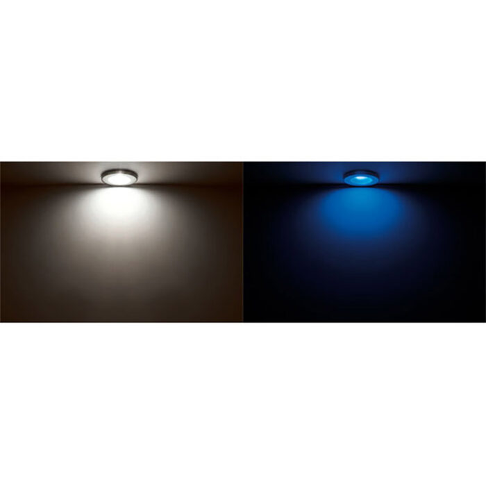 Quick TED C LED Light