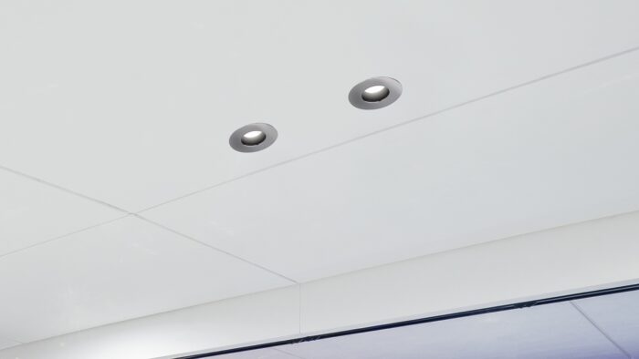 ELY DOWNLIGHT IP65