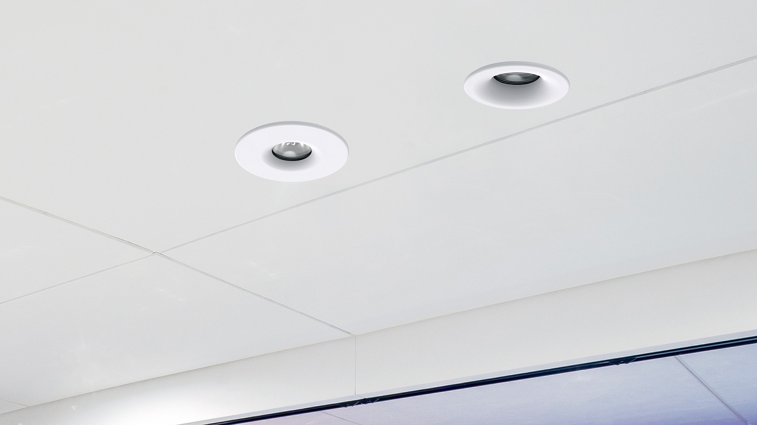 FLORA TULIP DOWNLIGHT